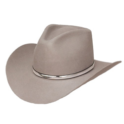 Купить Silver Stud в магазине WesternLegend